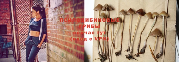 молекула духа Магадан