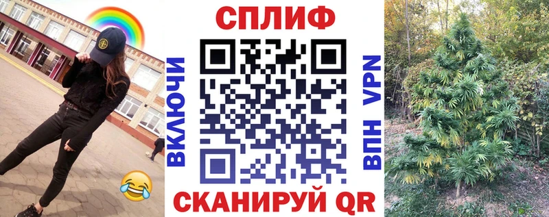 Бошки марихуана MAZAR  купить наркоту  Мурманск 